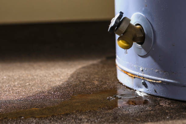 Best Water damage contractors near me  in De Pue, IL
