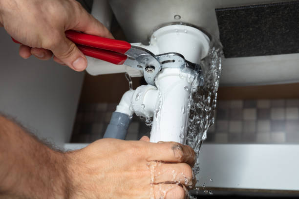 Best Local water damage restoration  in De Pue, IL