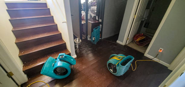 Best Fire Damage Restoration  in De Pue, IL