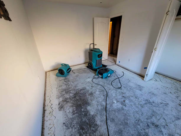 Best Emergency water damage restoration  in De Pue, IL