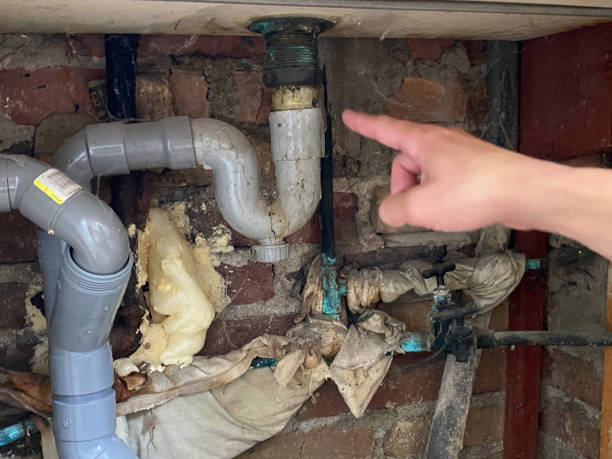 Best Ceiling water damage repair  in De Pue, IL