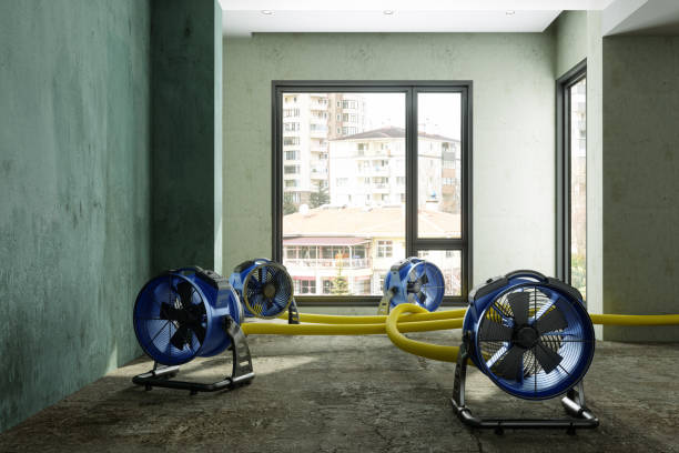  De Pue, IL Water damage restoration Pros